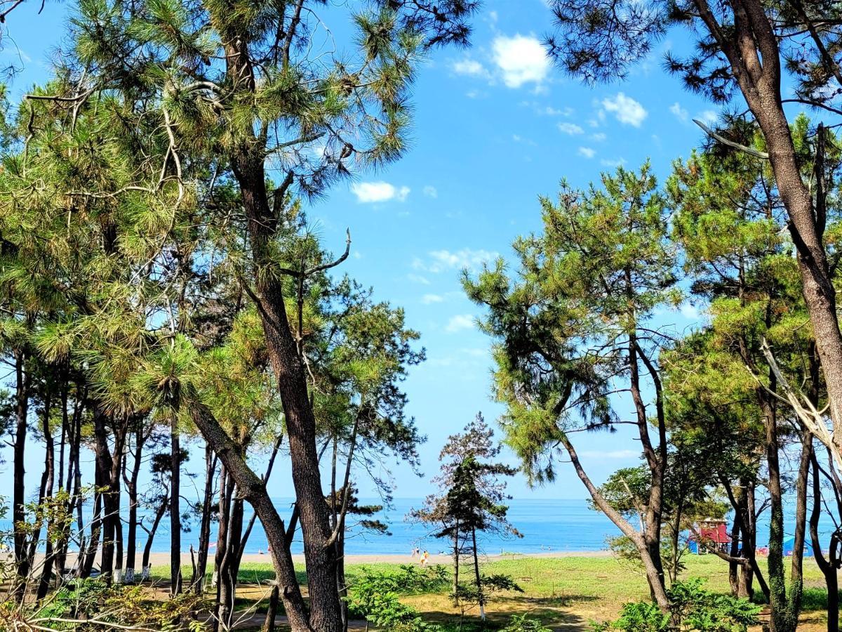 Apartment Beachfront ,,kapro-one,,